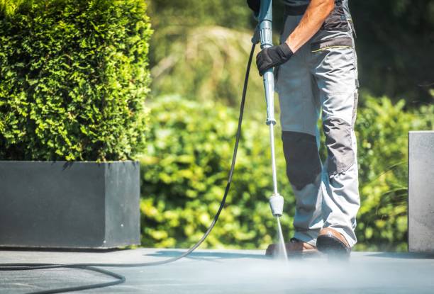 Best Solar Panel Cleaning  in Brandywine, MD